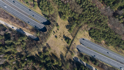 Ecoduct providing wildlife crossing over highway through forest