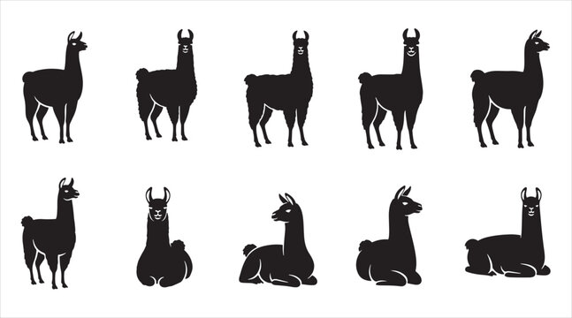 Llama and Alpaca Silhouette Vector Collection: Minimalist South American Camelid Icons, Standing and Sitting Farm Animal Graphics for Logo Design and Andean Travel Branding