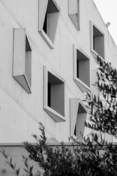 Monochrome modern architecture building facade with minimal windows and strong shadow at an angle framed by foliage for abstract urban mood