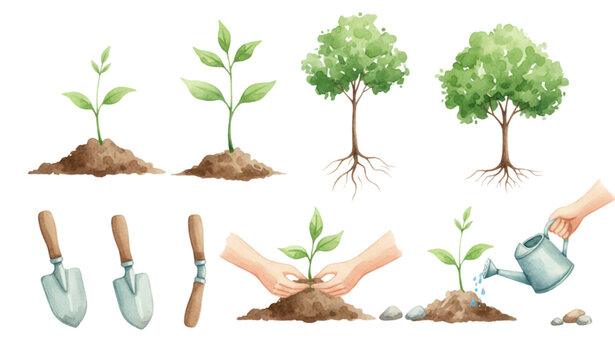 Watercolor Planting Green Plants Vector Infographic Set for Agriculture