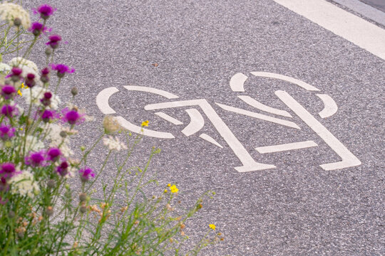 Bicycle lane road marking with flowers beside asphalt showing sustainable urban cycling transport and clean mobility perspective closeup