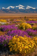 Obraz premium Wildflower meadow blooming with mountains in background