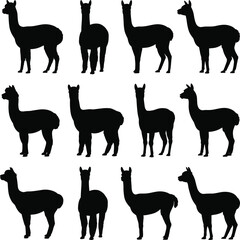 Obraz premium Llama silhouette, animal pose, standing figure, farm icon, wooly shape, posture grid, flat vector illustration