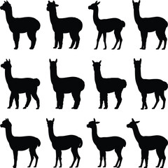 Obraz premium Llama silhouette, animal pose, standing figure, wooly shape, farm icon, posture grid, flat vector illustration