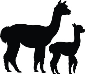 Obraz premium Alpaca mother and baby silhouette flat vector illustration, black llama animal icon isolated on white background, wildlife mammal logo