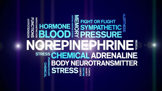 Norepinephrine animated word cloud-text design animation tag kinetic typography seamless loop.