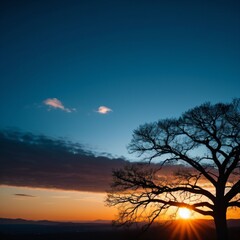 reflections of different material forms