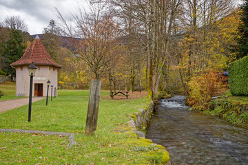 Ruisseau des Vosges