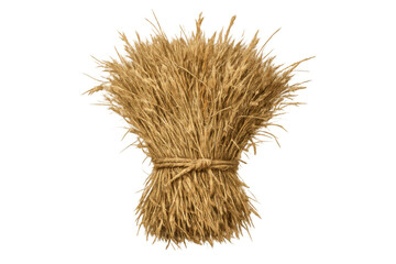Naklejka premium Dried wheat sheaf bundle tied with rope, symbolizing harvest, agriculture, and rural traditional farming