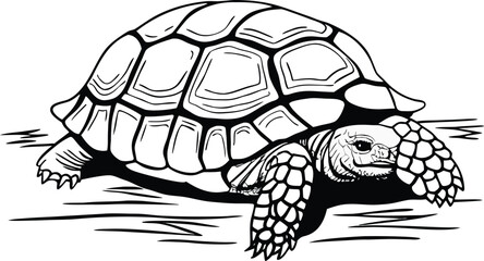 turtle detailed silhouette vector illustration
