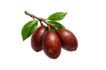 Obraz premium Fresh organic spanish lime fruits with green leaves on a branch, isolated on a transparent background, tropical fruit