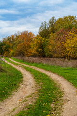 Naklejka premium beautiful landscape of country road in autumn forest with bright yellow leaves on trees, cloudy weather
