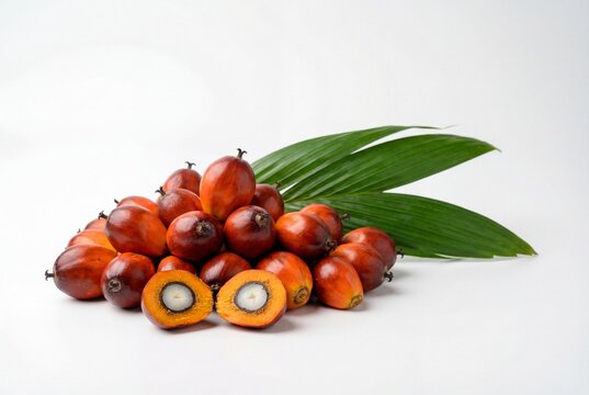 Fresh ripe oil palm fruits with green leaf and cut halves showing kernels on white background