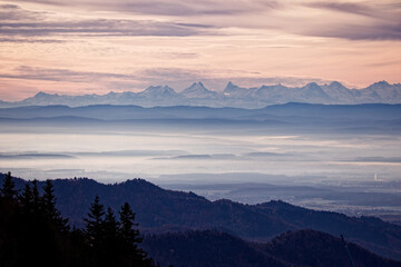 Fototapeta premium Les Alpes Suisses depuis les Vosges