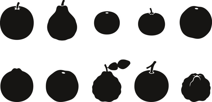  Sour & Specialty Orange Citrus Silhouette Vector Set &ndash; Seville Bergamot Calamondin Chinotto Moro Tarocco Sanguinello Kaffir Lime Orange Bigaradier Trifoliate Orange