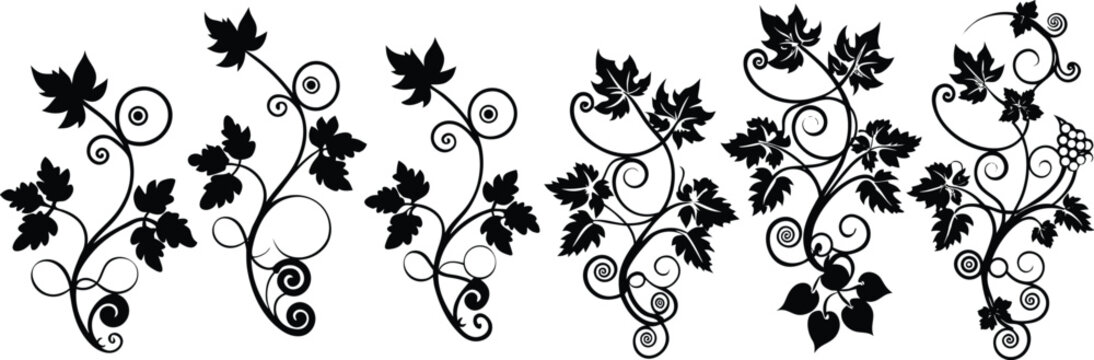 Decorative collection of black silhouette grapevines with intricate leaves and swirling tendrils