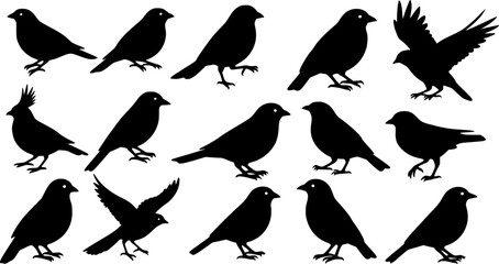 set of black bird silhouettes Vector elements for design