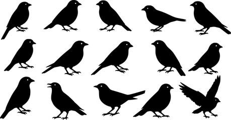 set of black bird silhouettes Vector elements for design