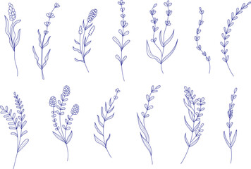 Hand drawn lavender botanical vector set with elegant minimal line art. Delicate floral illustration featuring lavender branches and herbs in a clean outline style. Perfect for branding, cosmetics, ar