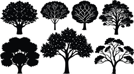 Fototapeta premium Collection of different tree silhouettes for design and illustration purposes
