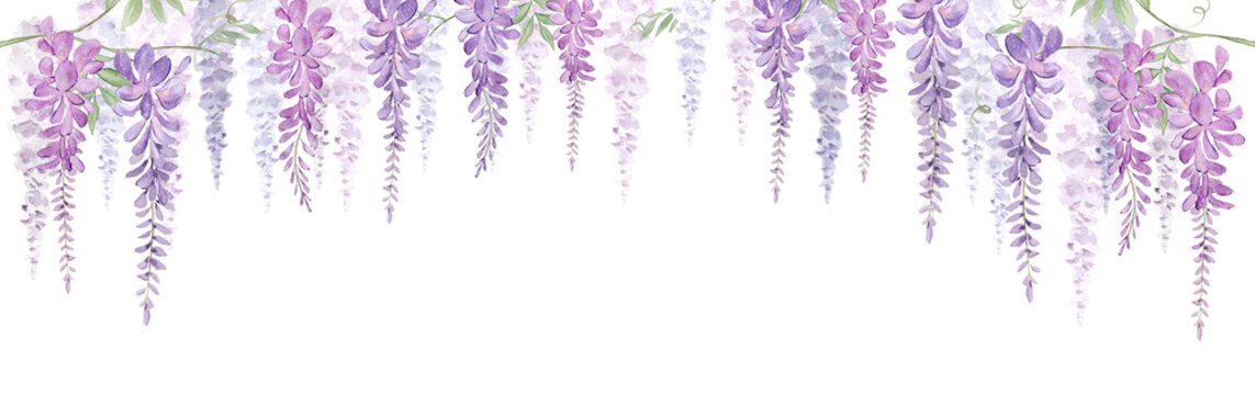 Watercolor purple wisteria flowers hanging for spring-300dpi-	