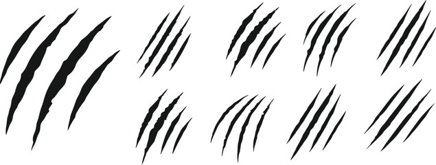animal Claw scratches mark set. Cat tiger dog lion and bear scratches paw shape. vector Illustration © Muhammad