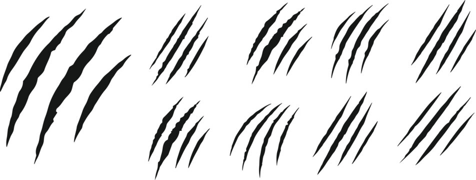 animal Claw scratches mark set. Cat tiger dog lion and bear scratches paw shape. vector Illustration