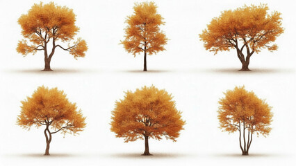 Fototapeta premium Diverse collection of autumn trees showcasing vibrant orange foliage and natural beauty