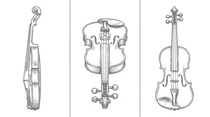 Fototapeta premium Illustration of Violins in Three Perspectives, Musical Instruments, Art