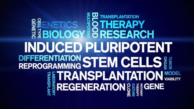 induced Pluripotent Stem Cells animated word cloud-text design animation tag kinetic typography seamless loop.