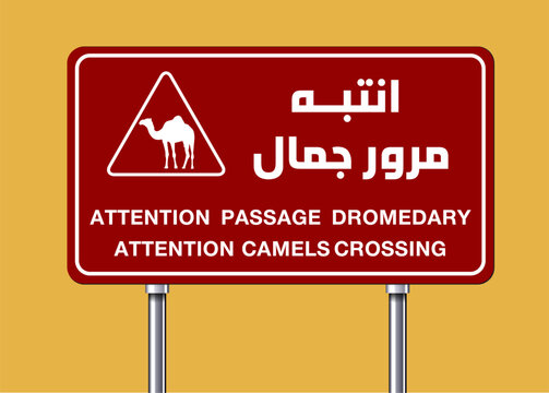 Traffic light on a desert road in the Kingdom of Saudi Arabia.Translation of the Arabic text: Pay attention to Jamal&rsquo;s passing area