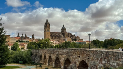Obraz premium View of Salamanca Cathedral and Roman Bridge