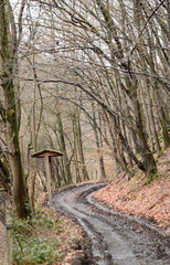 Fototapeta premium Muddy road or pathway with tire tracks in an european forest during winter season