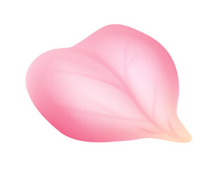 Fototapeta premium Single realistic pink rose petal isolated on white background. Perfect for floral design, beauty branding, cosmetic packaging and romantic compositions.
