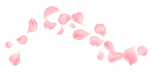 Obraz premium Soft realistic pink flower petals flying in elegant arc. Romantic floral elements isolated on white background, perfect for wedding, love and spring designs