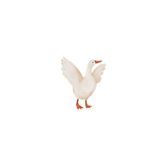 Hand draw farm goose clipart, cute village bird, transparent background