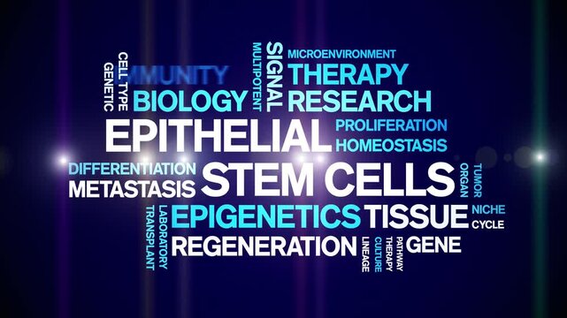 Epithelial Stem Cells animated word cloud-gross domestic product animation tag kinetic typography seamless loop.