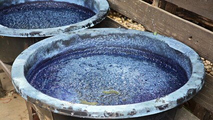 The indigo dye is fermenting in a tank to create fine bubbles, which will settle in the indigo solution used for dyeing.