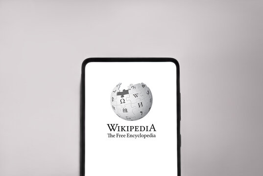 Wikipedia logo on smartphone screen, grey background. Link&ouml;ping, &Ouml;sterg&ouml;tland, Sweden. 01-29-2026.