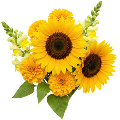 Naklejka premium Vibrant sunflower and yellow zinnia bouquet with snapdragons, close-up view isolated on white background