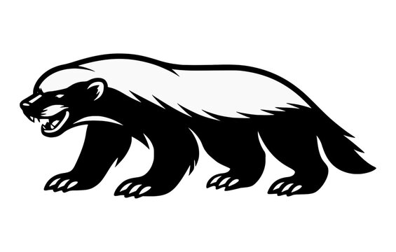Vector line art illustration of Honey Badger.