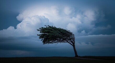Obraz premium A lone windswept tree stands against a dramatic, stormy sky