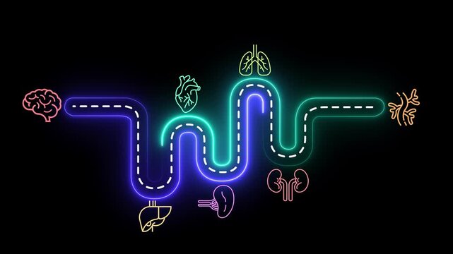 Internal organ protection concept on the black background. Protection, treatment, prevention and patronage health in internal organs. Motion graphics of health protection idea. 4k video animation.
