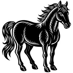 Obraz premium Majestic black horse with flowing mane and tail standing proudly