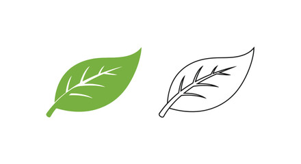 Two leaf illustrations one colored one outline against a white background