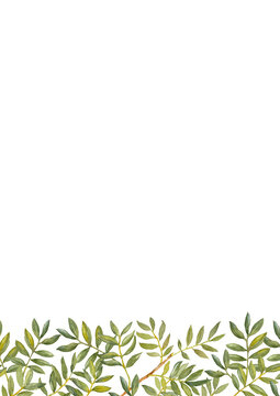 Green Ruscus. Greenery collection. Brochure design template. Watercolor hand-drawn A4 layout.