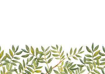 Obraz premium Green Ruscus. Greenery collection. Greeting card template. Watercolor hand-drawn illustration.