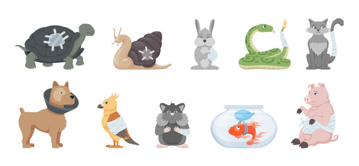 Obraz premium A collection of various sick animals in need of veterinary care. Various pets, including a turtle, a cat, a dog, a parrot, and a hamster, are presented looking over-bented and sad.