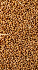Fototapeta premium A close-up of golden grains, displaying a rich, natural texture. Ideal for agricultural designs, food packaging, and backgrounds emphasizing wholesome, sustainable nourishment