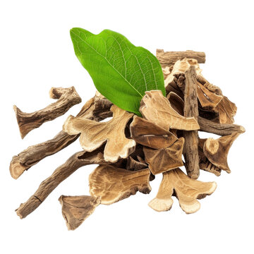 Dried devil's claw root slices and stems with vibrant green leaf accent isolated on white background